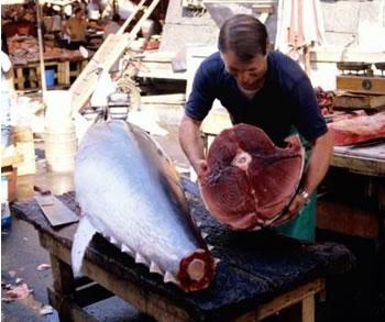 L'Algérie ne perd pas son 