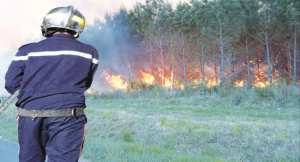 L'INCENDIE DE FORET : Plus de 1000 hectares ravagés par les feux