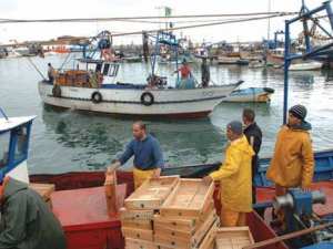 Manque d'investissement dans le secteur de la pêche