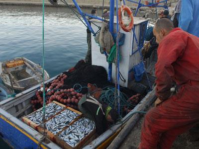 86 entreprises liquidées pour non adaptation au marché                                    Les modes de gestion archaïque toujours en vigueur dans les PME à Annaba