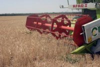 Programme national de renouvellement des moissonneuses-batteuses                                    Tlemcen et Sidi Bel Abbès