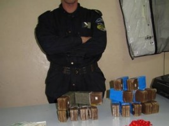 سيدي بلعباس: حجز 127 كلغ من الكيف المعالج بمولاي سليسن