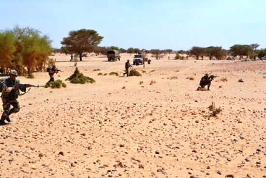 وزارة الدفاع : ارهابي يسلّم نفسه للسلطات العسكرية بتمنراست