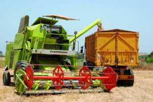 64 مليار سنتيم قيمة مداخيل الحصاد بولاية عين تموشنت