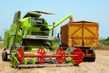 64 مليار سنتيم قيمة مداخيل الحصاد بولاية عين تموشنت