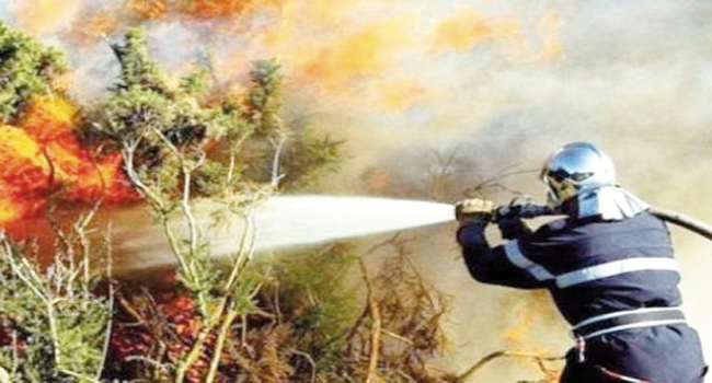 AU CLASSEMENT DES FEUX DE FORETS : Mostaganem à la 6ème place