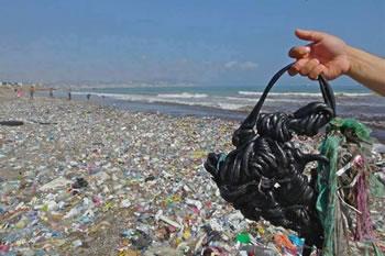 Sales sont nos plages!