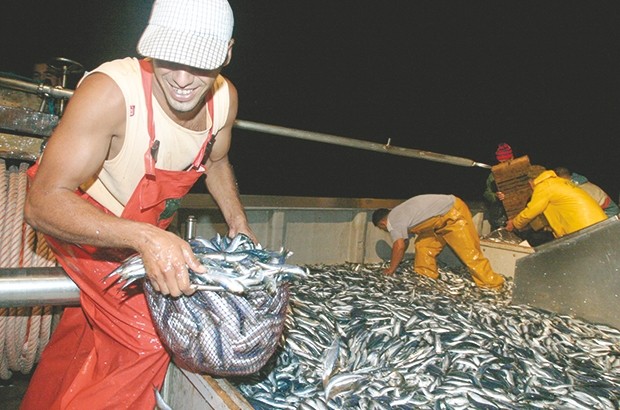 Un déficit annuel de 100 000 tonnes