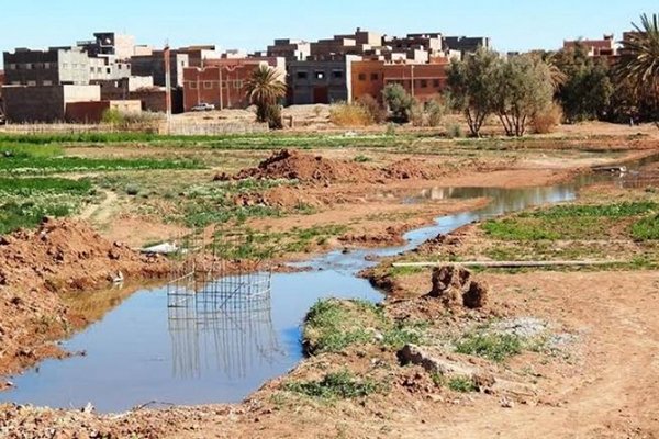 كارثة بيئة تتهدد سكان قرية تبربيرت بتمنراست