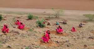 66 MILLIONS D’ARBRES PLANTÉS EN 12 HEURES : NOUVEAU RECORD EN INDE