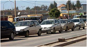 في حملة لتطهير الحظيرة بالطارف