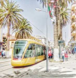 تكثيف العمل التحسيسي للحفاظ على ترامواي سيدي بلعباس