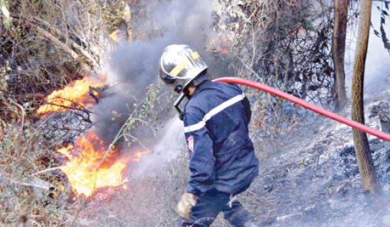 تنصيب الريتل المتنقل لمكافحة حرائق الغابات بتيبازة