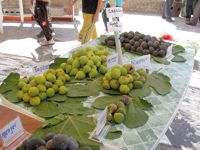 Tizi Ouzou                                    La Fête de la figue à Lemsella