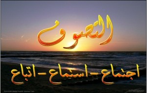 فمن عامَلَ ربَّه معاملةً صافية وعامَلَ خَلْقَ اللهِ معاملةً صافية وأخلَص لربه في سره وأحسن علانيته فذلك هو الصوفي