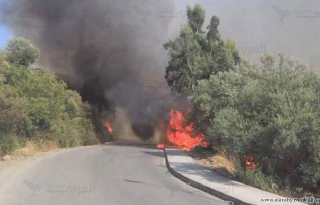 المديرية العامة للغابات تقدم شكوى إلى الدرك حول الحرائق فديرالية الغابات تتهم مقاولات بالوقوف وراء الحرائق