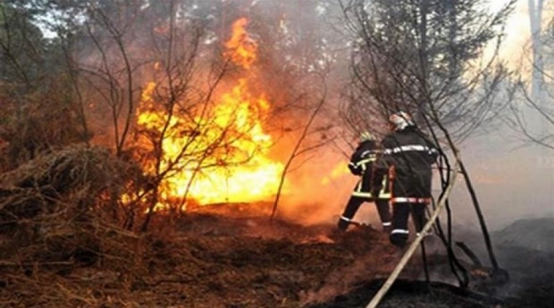 Tlemcen : Les monts Merbah en feu