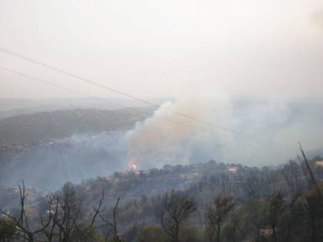Un coup dur pour l'économie rurale                                    Après une saison estivale marquée par des feux de forêt exceptionnels