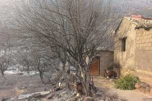 سكان قرية تيزي وكدال ببجاية يطالبون بالترحيل