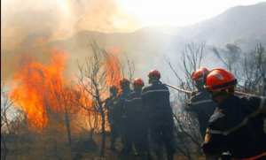 بدوي يقف على حجم خسائر حرائق الغابات بتيزي وزو