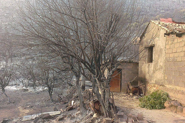 سكان قرية تيزي وكدال ببجاية يطالبون بالترحيل