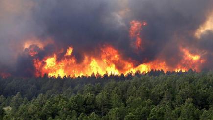 بوتفليقة يقرّ تعويضات للمتضررين من الحرائق بتيزي وزو