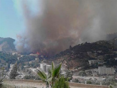 Wilayas touchées pars les incendies : Le Président de la République ordonne d'indemniser les victimes des dégâts