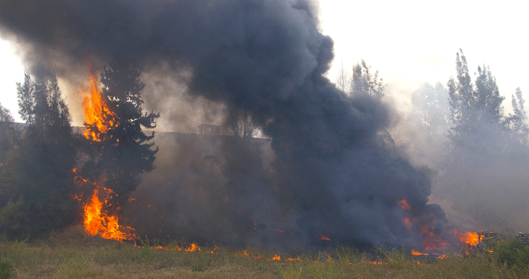 القرار اتخذه رئيس الجمهورية وأعلنه وزير الداخلية من تيزي وزو: تعويضات لضحايا الحرائق الأخيرة في 17 ولاية