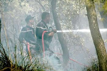 Bouteflika au secours de la Kabylie