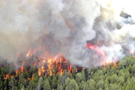 16 feux de forêt depuis le début de la campagne de lutte contre les incendies