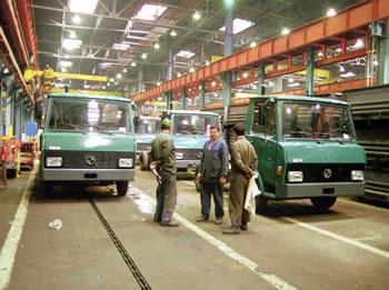 Un «mystérieux» insecte sème la panique                                    COMPLEXE SNVI DE ROUIBA