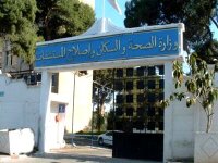 La prolifération d'un moustique inconnu à Rouiba 