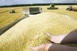 La Chambre d'agriculture propose la révision des prix des céréales