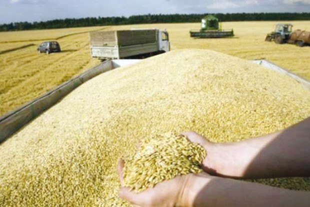 La Chambre d'agriculture propose la révision des prix des céréales
