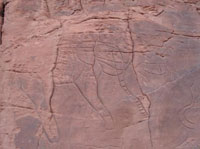 Implanté dans la wilaya d'El-Bayadh                                    Boussemghoun : un îlot amazighophone