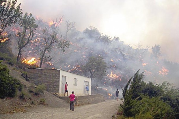 Les politiques publiques en question