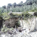 مخاوف من فيضان الواد بحلول فصل الشتاء                                    550 عائلة تعيش ظروفا قاسية بالحي القصديري لوزاط حسين بسكيكدة