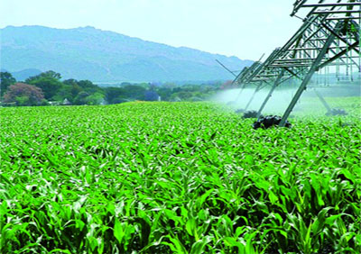 Aides de l'Etat : un impact positif sur le terrain