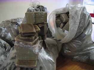 Sur les traces du cannabis                                    Midi Libre