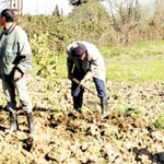 671 ألف ناشط في مختلف القطاعات تقلص البطالة إلى 10بالمائة                                    ''الشعب'' تستطلع وضعية التشغيل بالشلف