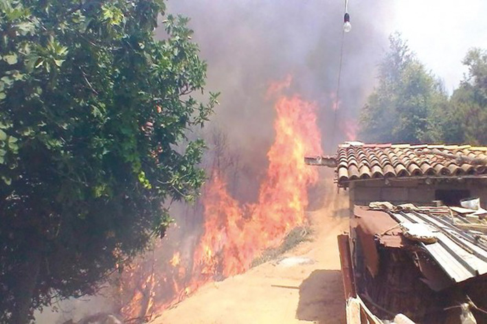 Bouira : La CRMA indemnise une vingtaine d'agriculteurs sinistrés