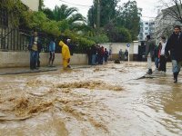 Changements climatiques : l'Algérie doit prendre des mesures préventives