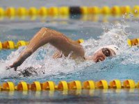 11es championnats d'Afrique de natation : l'Algérie termine à la 6e place