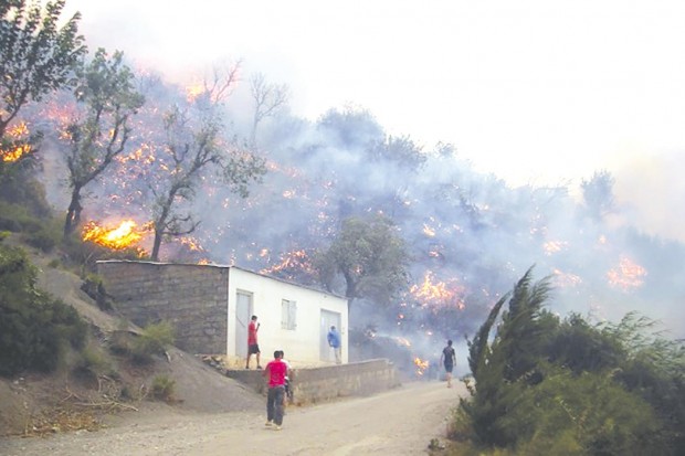 Feux de forêt : les indemnisations dans 40 jours