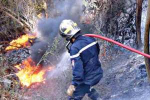 أعوان الغابات والحماية المدنية يتصدون لحريق بتيارت