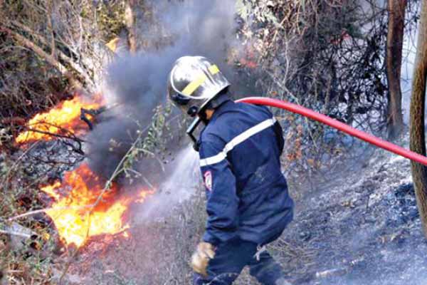 أعوان الغابات والحماية المدنية يتصدون لحريق بتيارت