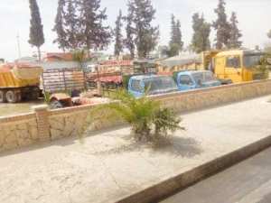 منتجو الطماطم بالشلف يتكبدون خسائرفادحة