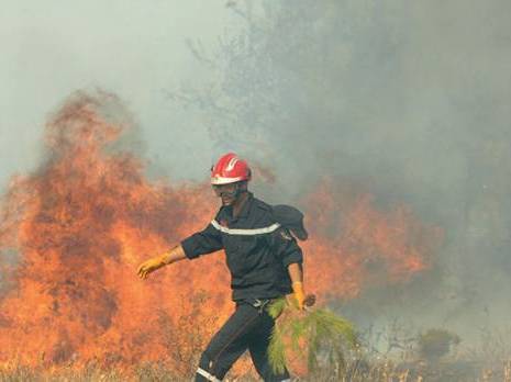 Des ripostes ponctuelles à défaut de stratégie