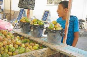 À MILA -  La figue de Barbarie occupe la place