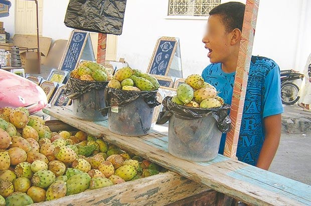 À MILA -  La figue de Barbarie occupe la place